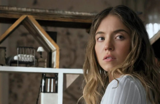 Après son carton au cinéma, La Femme de ménage arrive enfin à la télé
